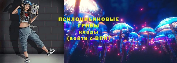ПСИЛОЦИБИНОВЫЕ ГРИБЫ Аркадак