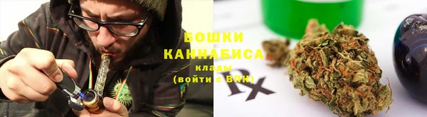 ПСИЛОЦИБИНОВЫЕ ГРИБЫ Аркадак