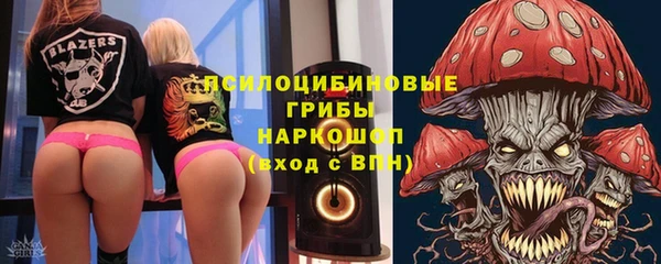 ПСИЛОЦИБИНОВЫЕ ГРИБЫ Аркадак