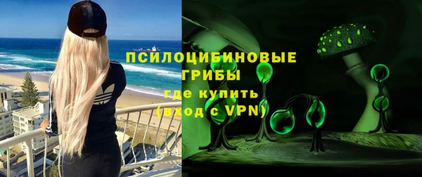 ПСИЛОЦИБИНОВЫЕ ГРИБЫ Аркадак