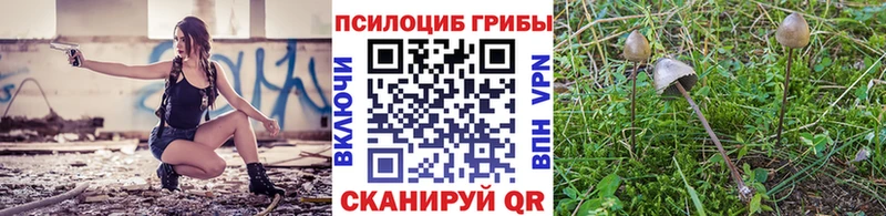 Галлюциногенные грибы Psilocybe  Салехард 